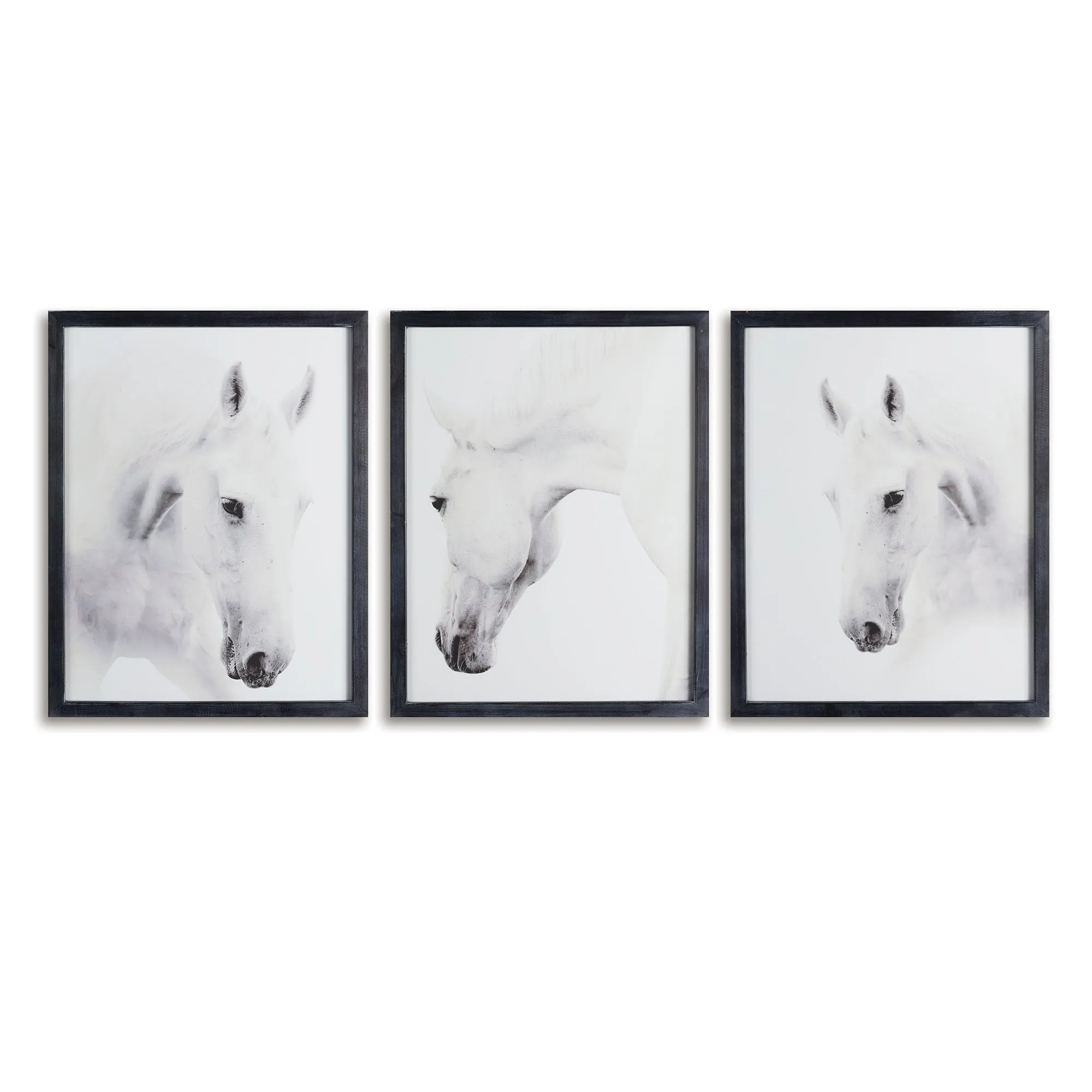 WILD HORSES PHOTOGRAPHIC PRINTS, SET OF 3